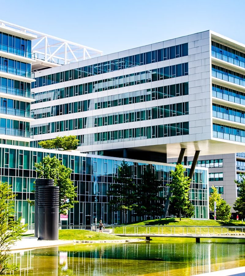 Arquitecto Lazarte contacto Vizcaya